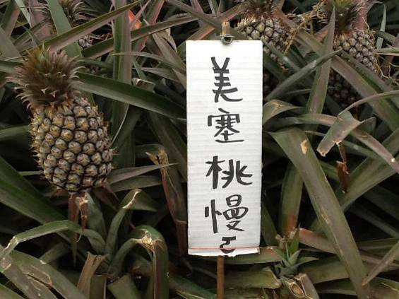 台語民間書寫招牌實例之二